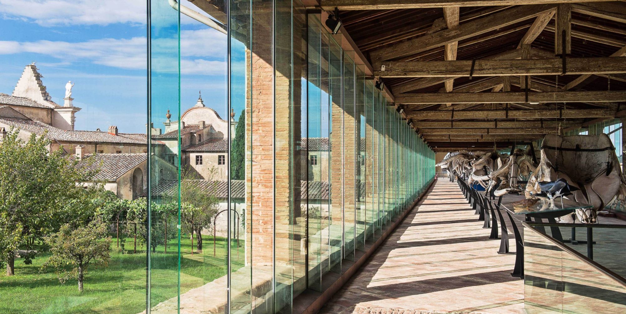 museo-storia-naturale-universita-pisa-calci